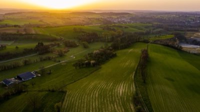 5 Tipps gegen Knieschmerzen: Patellaluxation bei Ihrem Hund