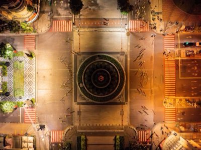 動物の権利を守る：21世紀の非営利団体が築いた制度改革の歴史
