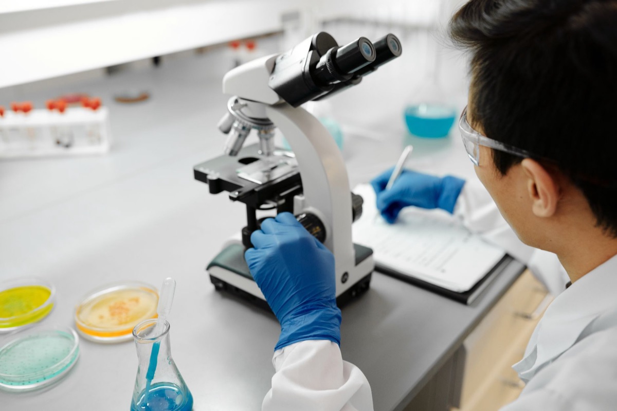 Wetenschappelijk onderzoek naar hondengenetica in een laboratorium.