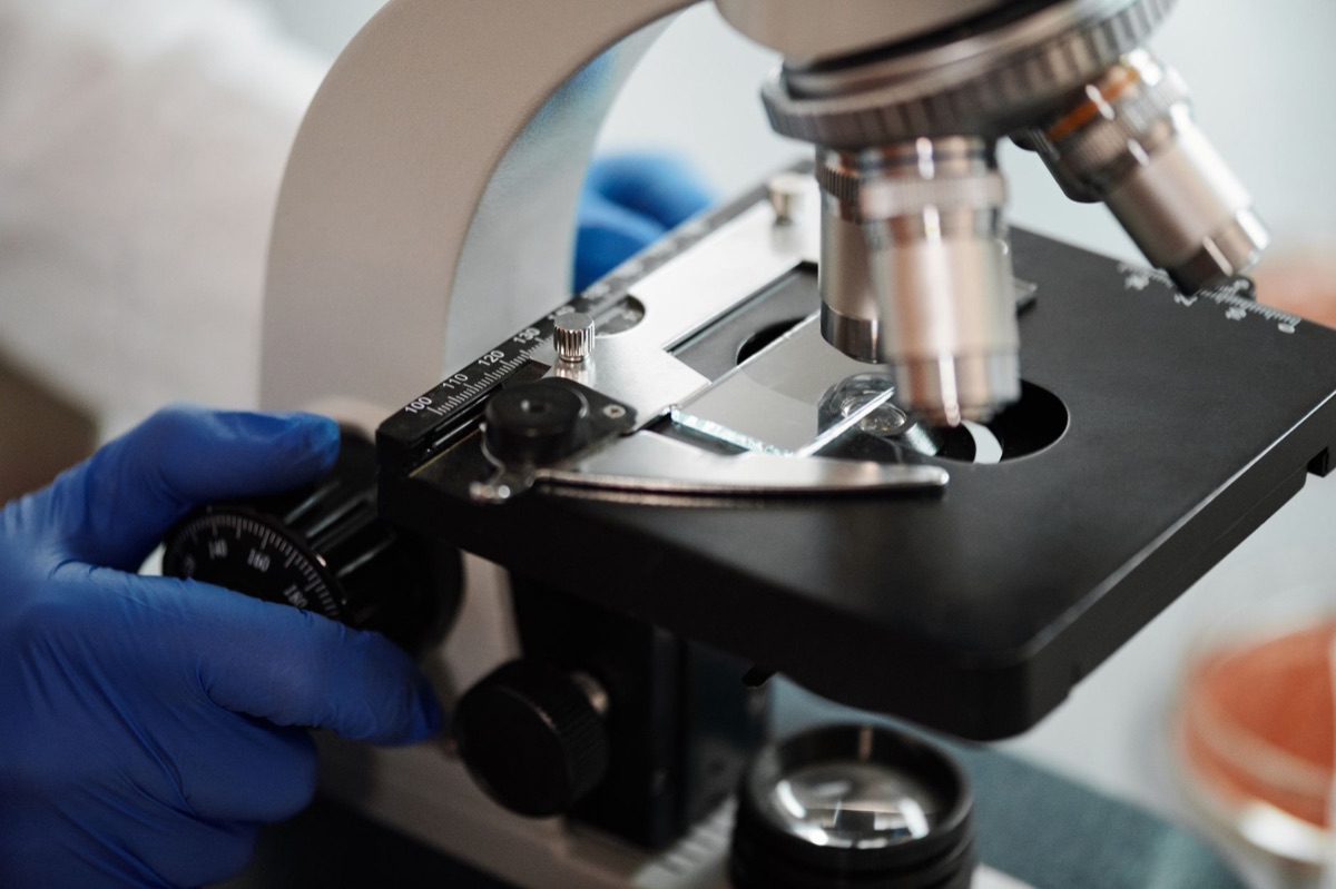 Un vétérinaire examinant un échantillon au microscope pour la recherche sur les maladies zoonotiques.