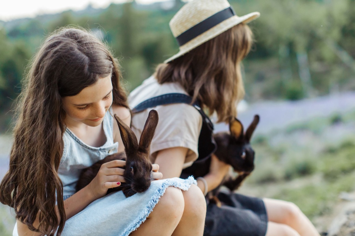 Rabbit whispering