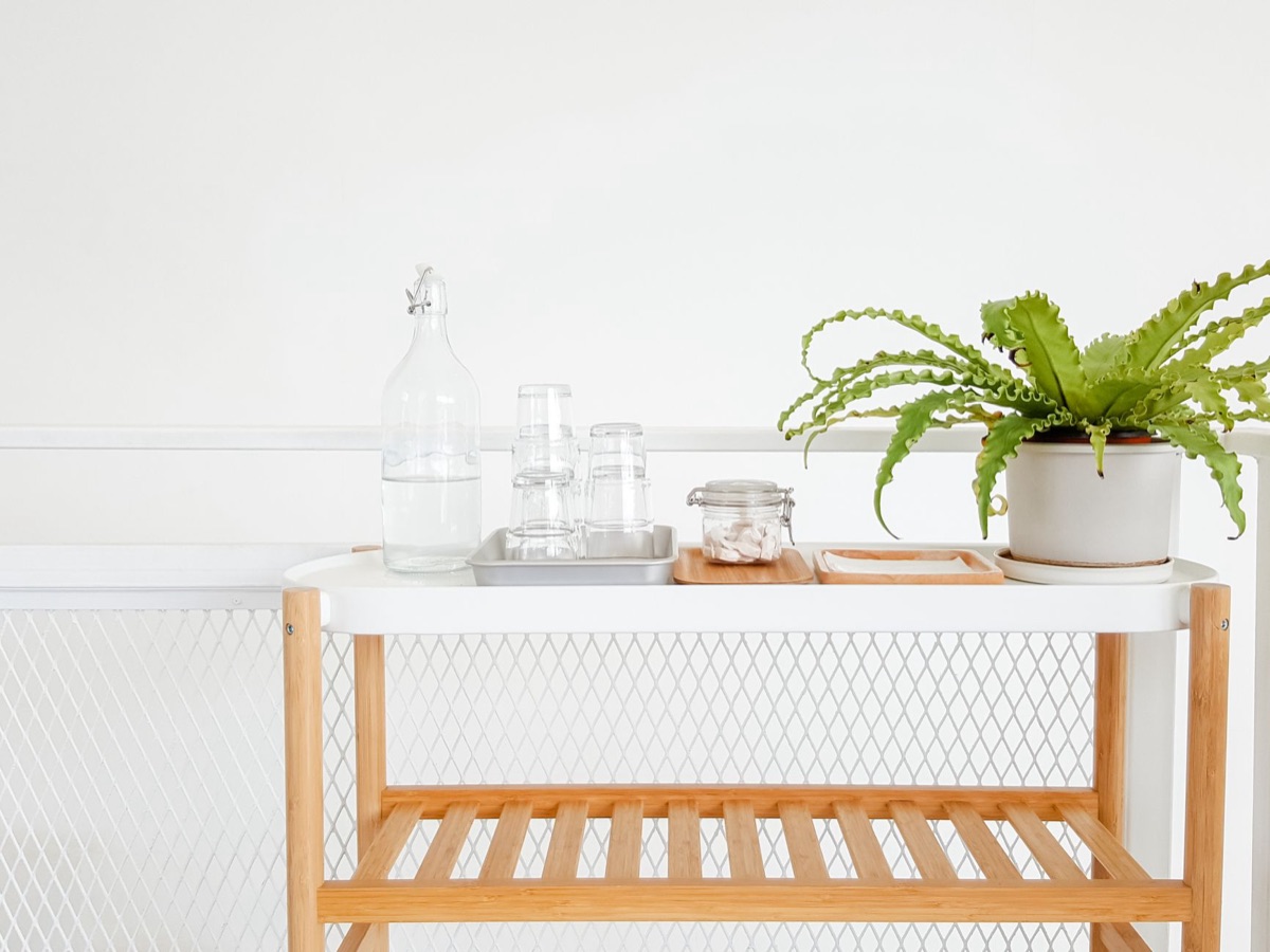 Hamster cage with multiple levels and a small plant