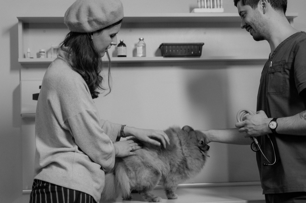 veterinarian examining pet for health symptoms