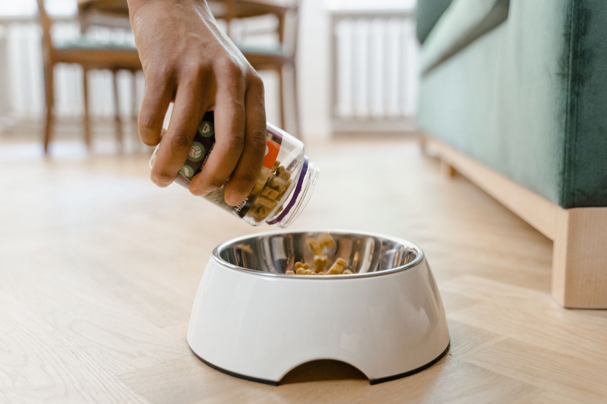 Hundefutter mit Glucosamin