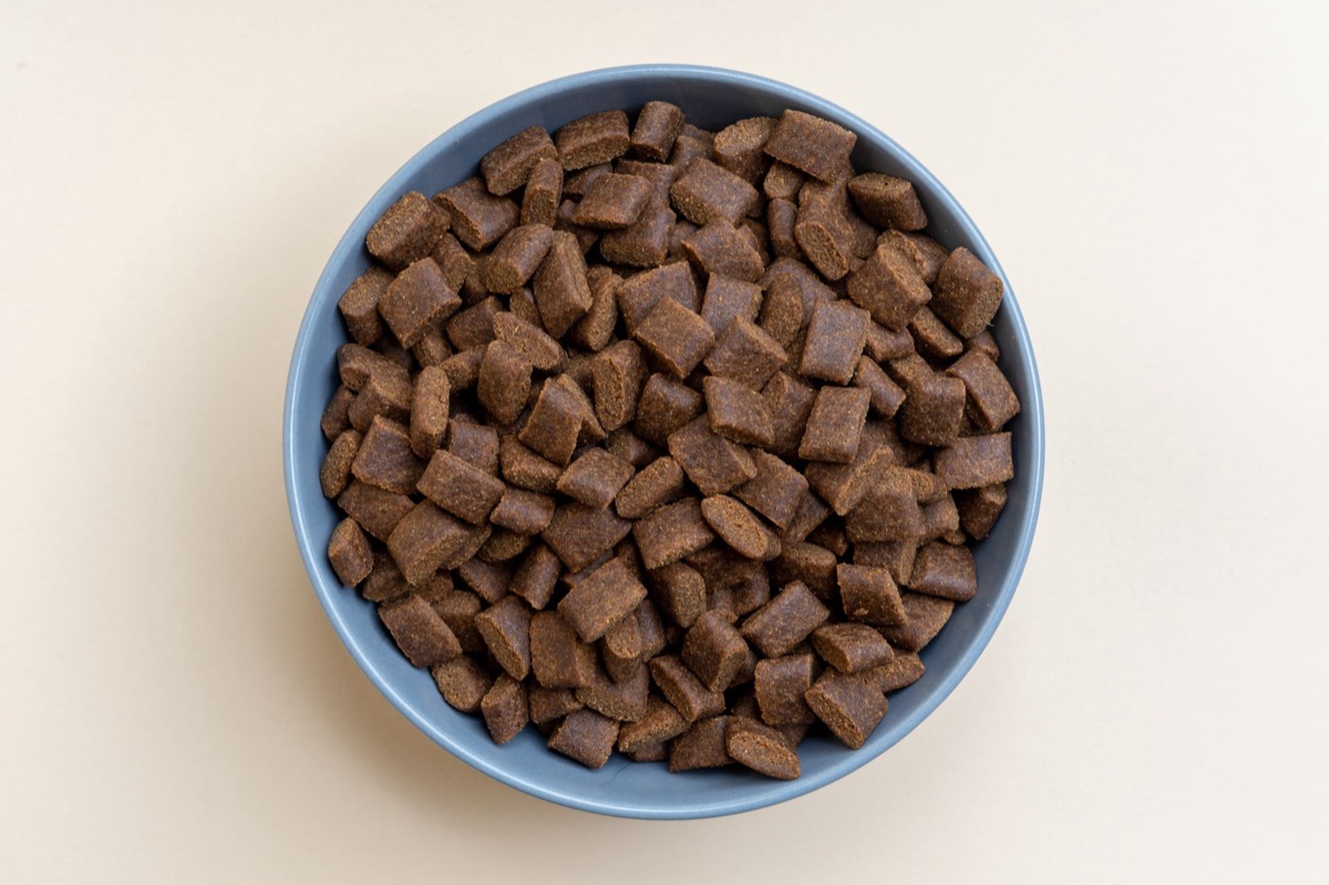 Dog food with joint support ingredients