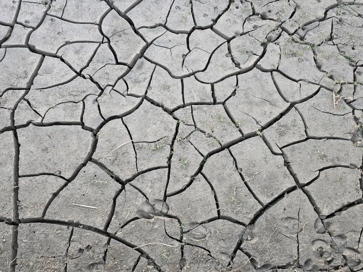 A detailed view of cracked, dry earth illustrating drought and climate change effects.